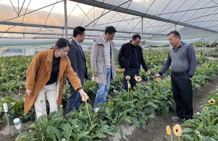 花卉所：科技人员赴宁化、清流开展科技服务
