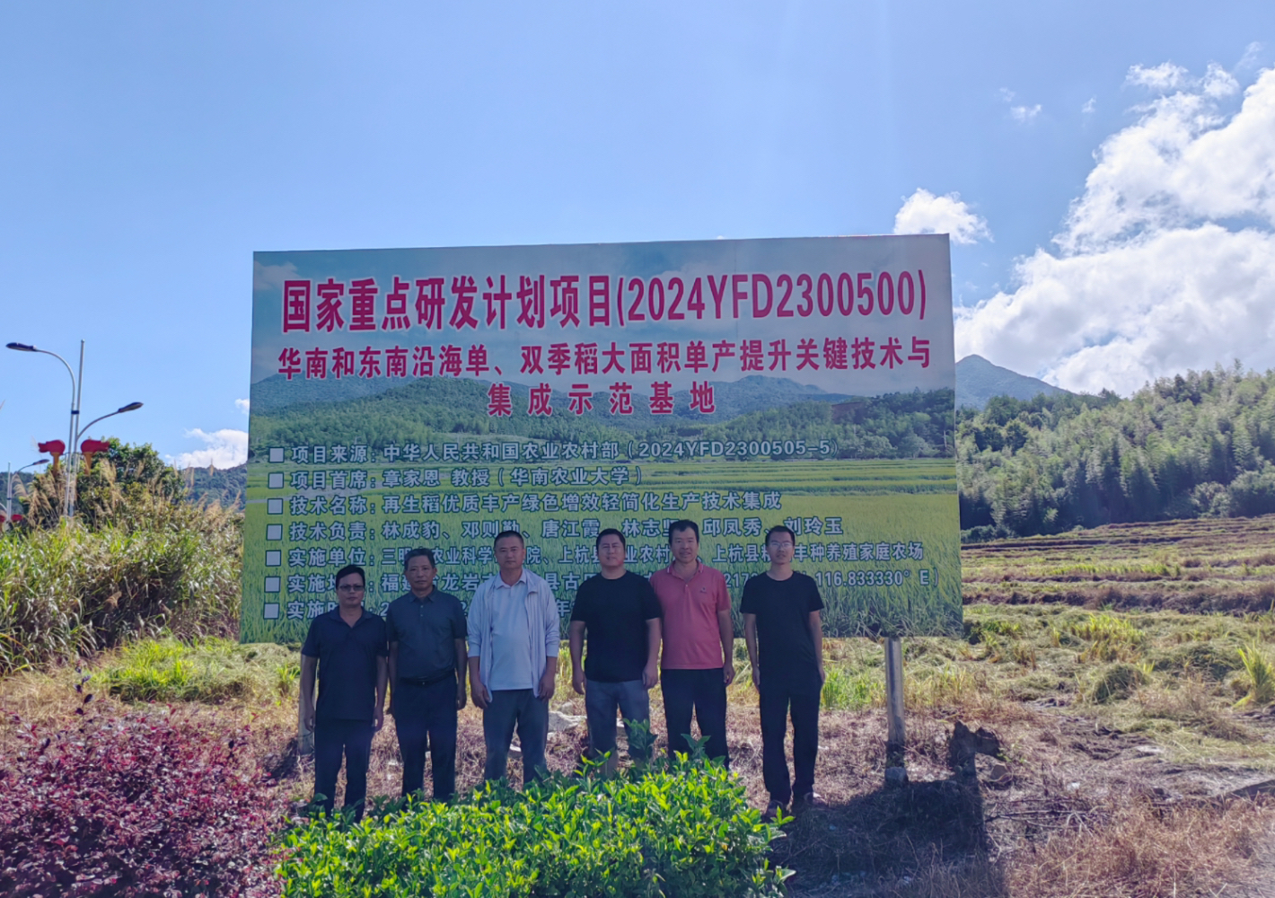 水稻所：龙岩市上杭县示范种植的再生稻“明1优臻占”头季通过现场测产验收