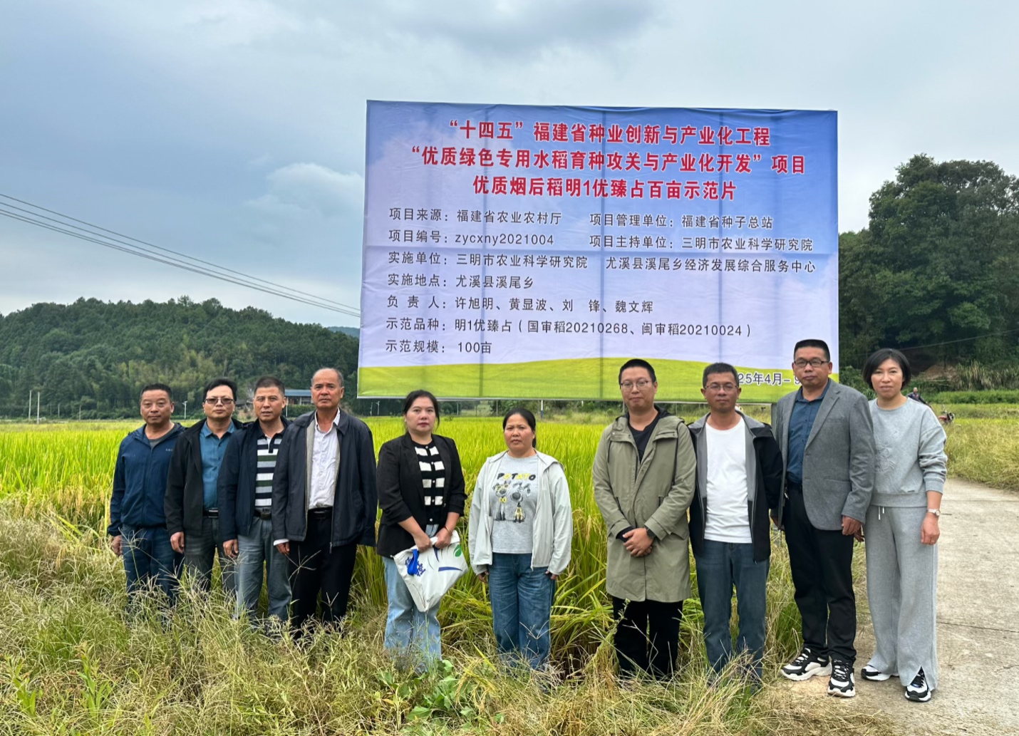 水稻所：优质烟后稻“明1优臻占”通过现场测产验收