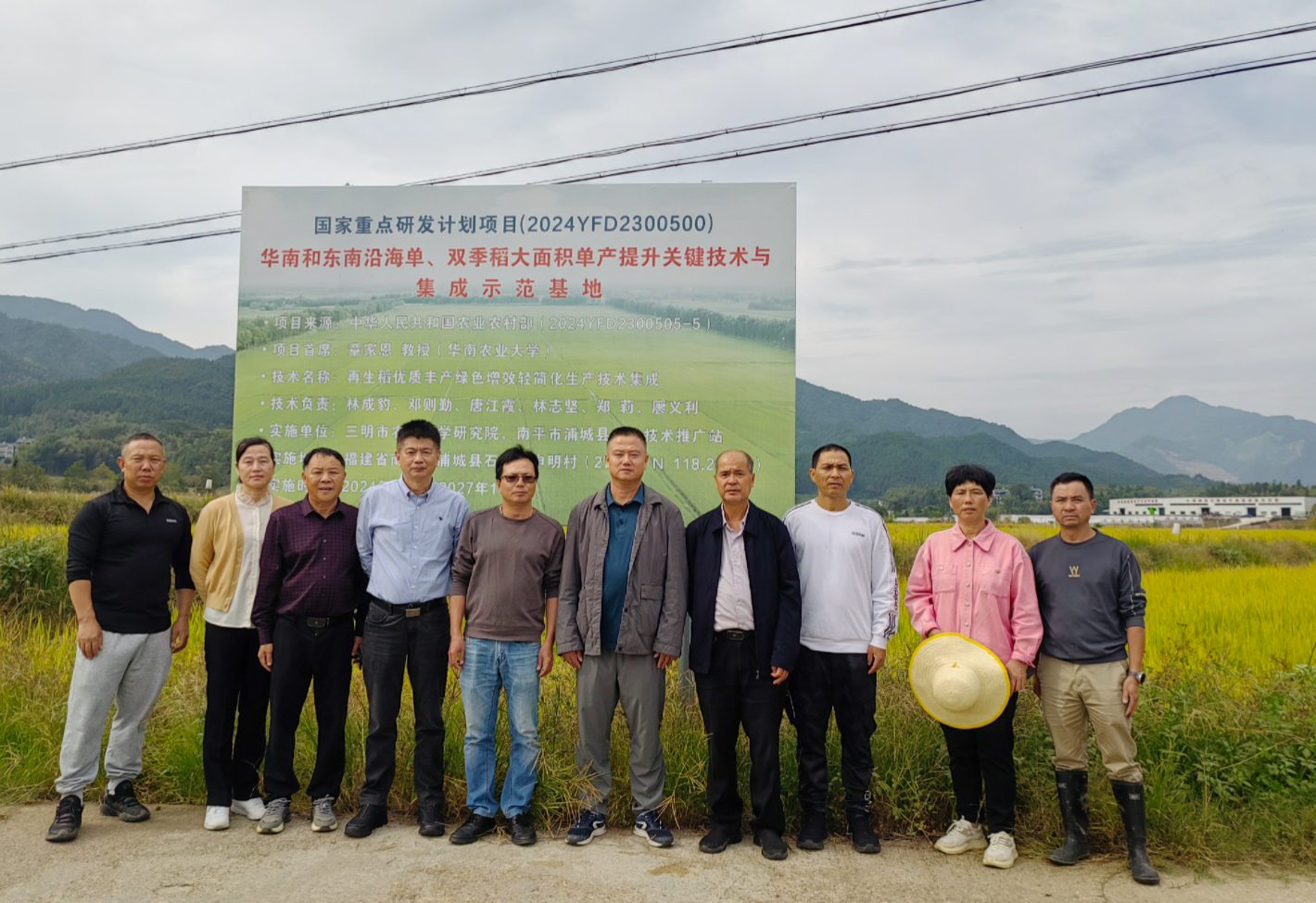 水稻所：再生稻“明1优臻占”“明芗优196”再生季通过现场测产验收