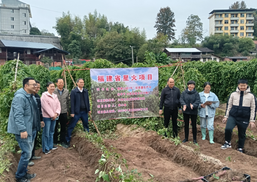 旱作所：省星火项目“‘赣紫山药1号’优质薯生产与抗旱节水栽培技术示范推广”通过现场测产
