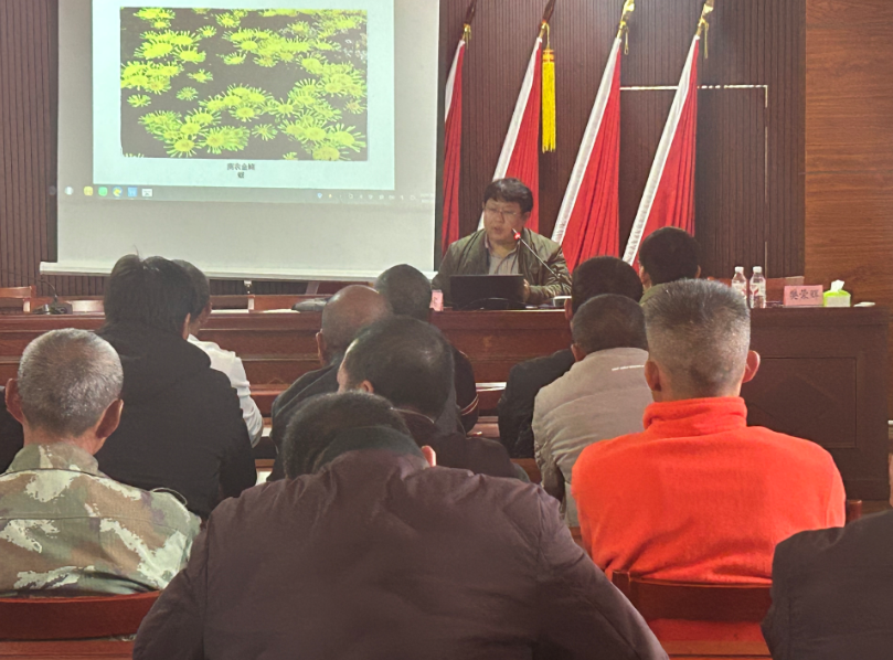 南京农业大学专家一线“把脉开方”   科技精准赋能三明花卉产业提质增效