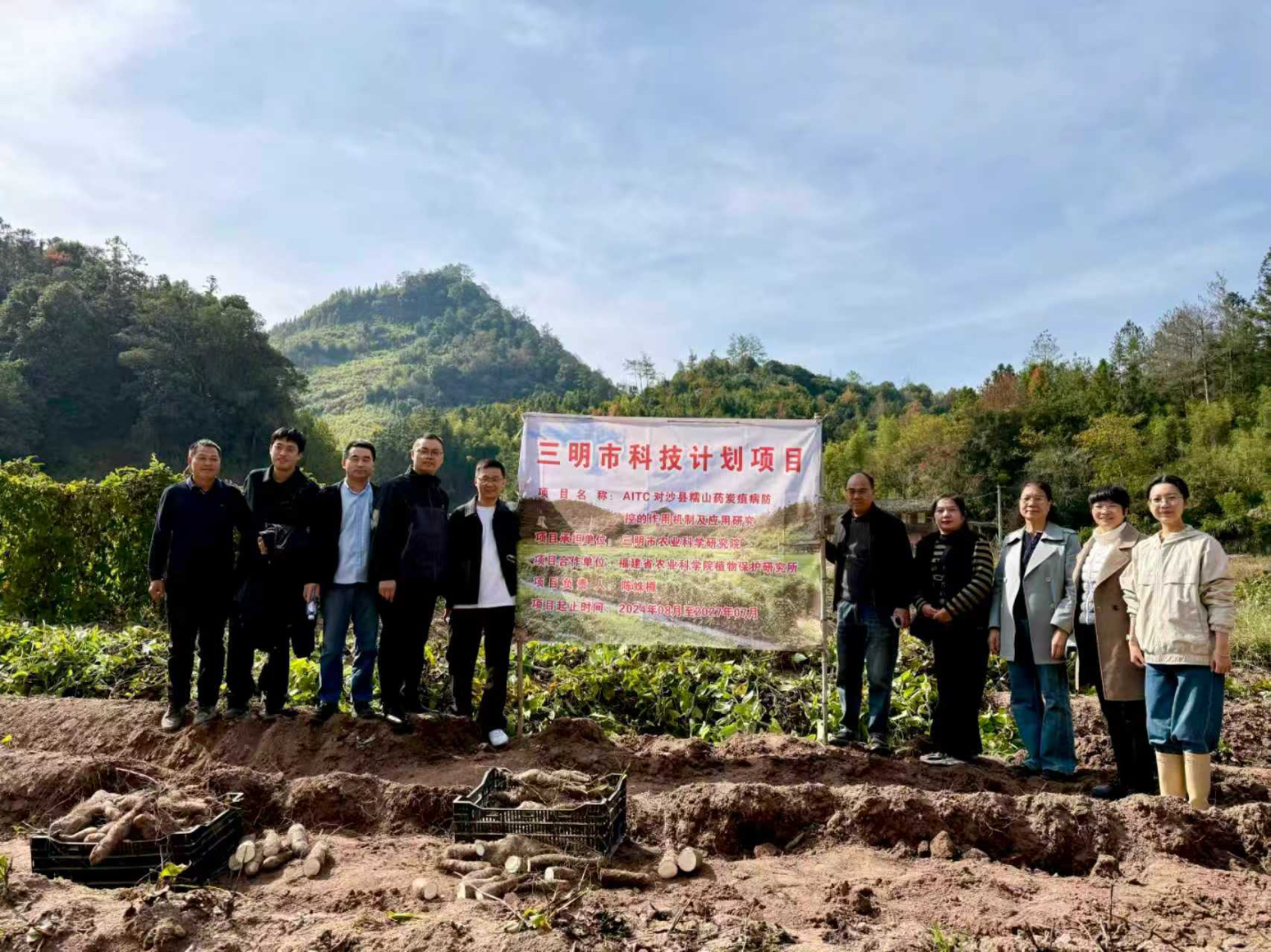 旱作所：三明市科技计划项目“新型土壤熏蒸剂AITC对沙县糯山药土壤炭疽病防控的作用机制与应用研究”通过现场测产