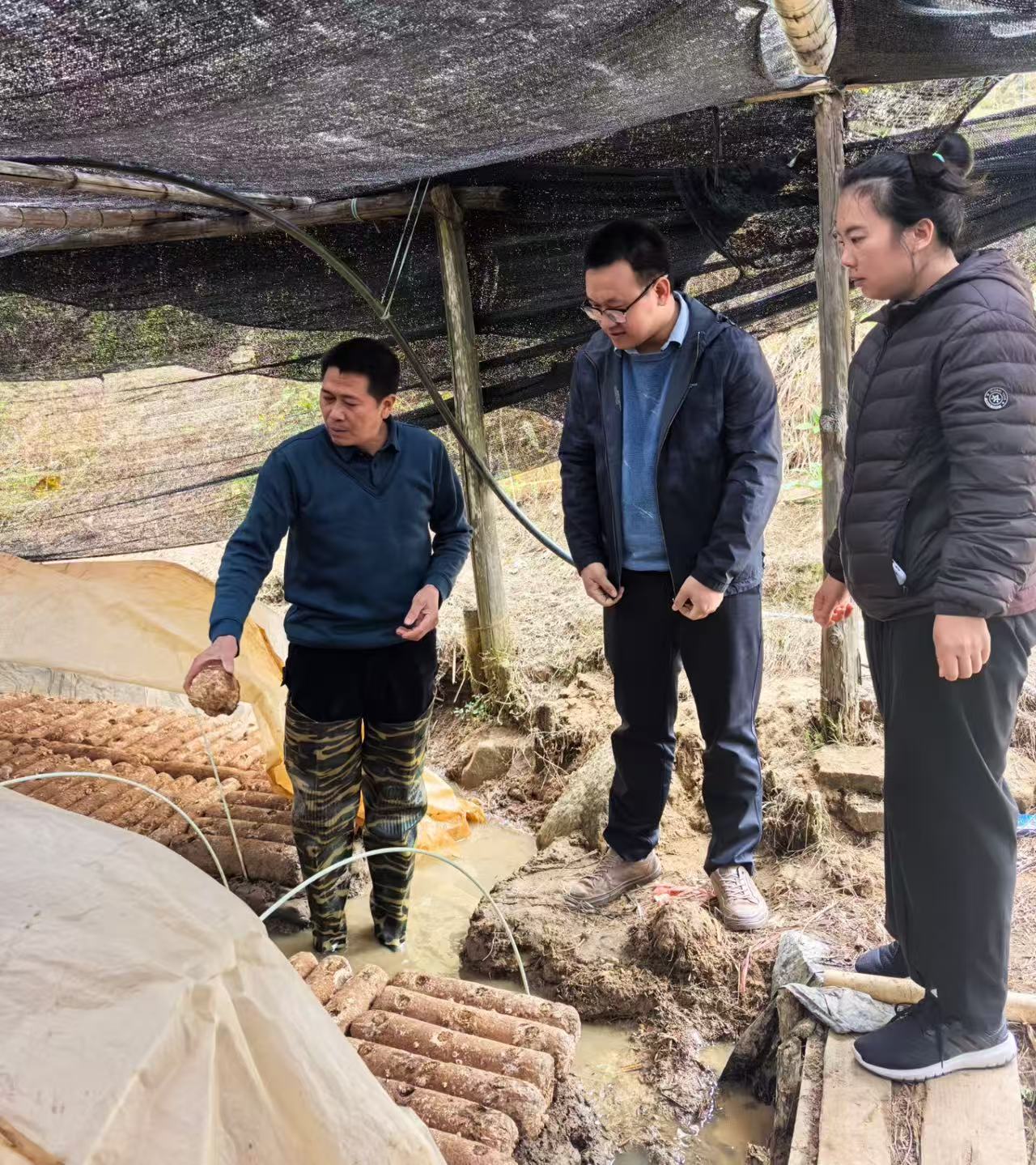 食用菌所赴漳平开展科技服务 助力香菇产业稳产增收