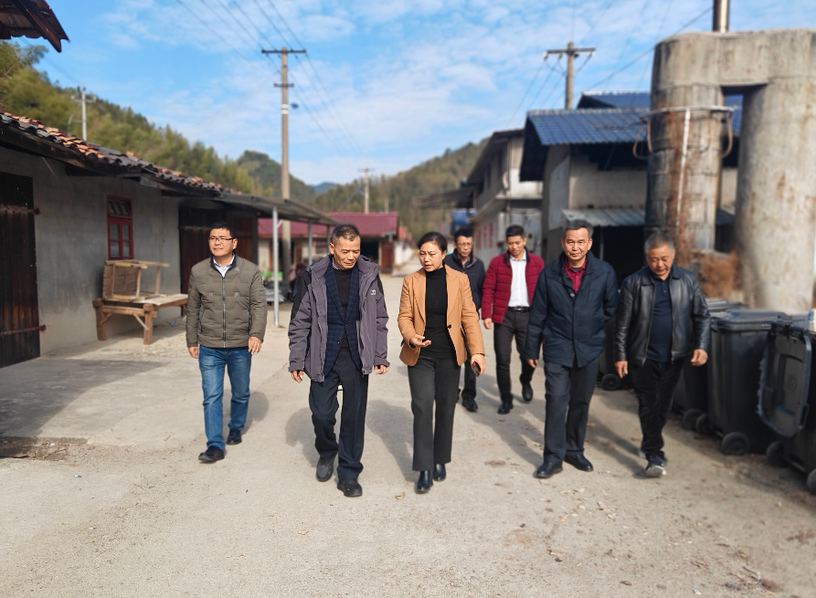 院领导赴建宁县溪源乡东溪村调研驻村工作