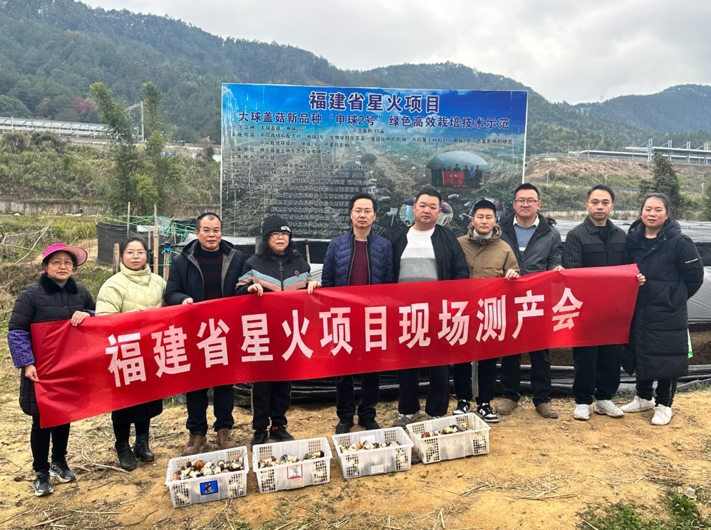 食用菌所：福建省星火项目大球盖菇新品种“申球2号”绿色高效栽培技术示范推广项目完成现场测产